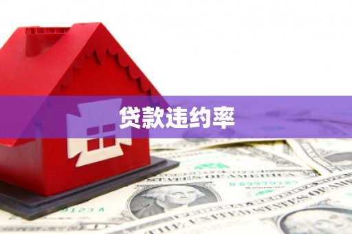 阜平贷款违约率
