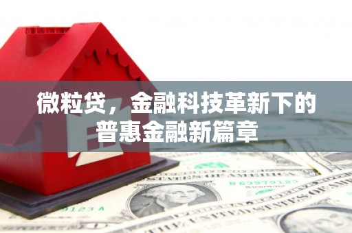 西吉微粒贷，金融科技革新下的普惠金融新篇章