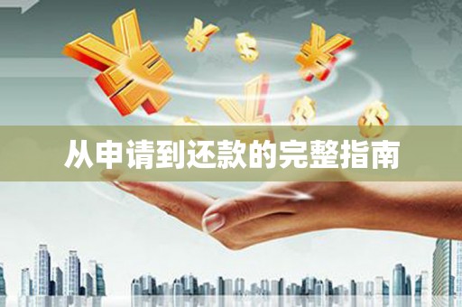 定安从申请到还款的完整指南