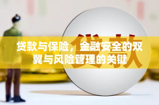 定兴贷款与保险，金融安全的双翼与风险管理的关键