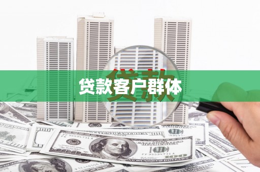 镇巴贷款客户群体