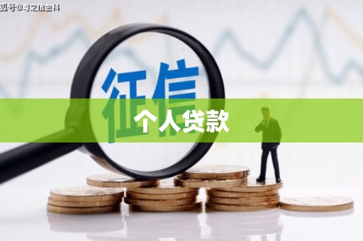 田林个人贷款