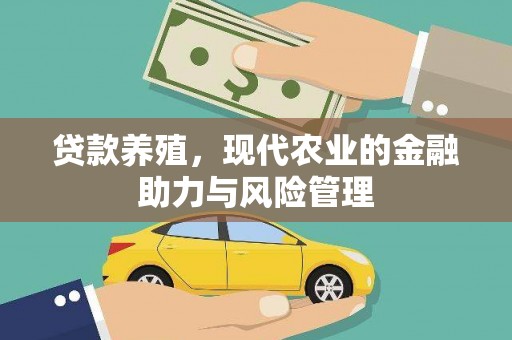 石龙贷款养殖，现代农业的金融助力与风险管理