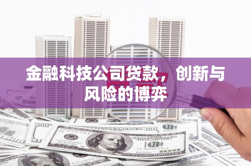 阜沙金融科技公司贷款，创新与风险的博弈