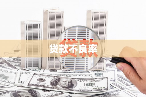 苏家屯贷款不良率