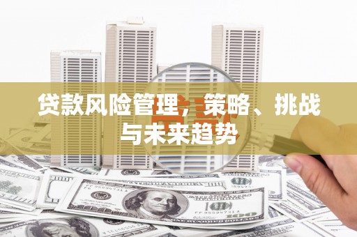 鱼峰贷款风险管理，策略、挑战与未来趋势