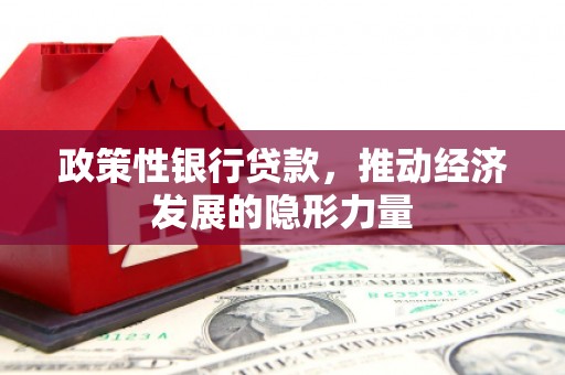 永寿政策性银行贷款，推动经济发展的隐形力量
