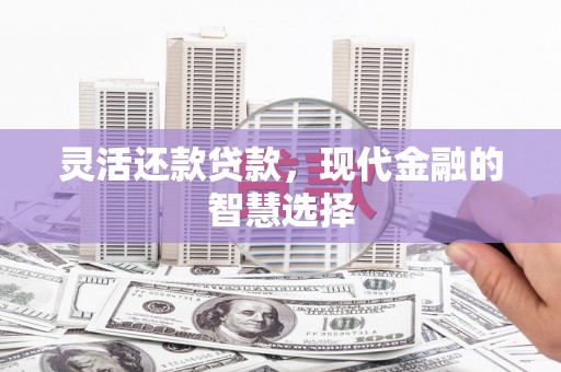 乐亭灵活还款贷款，现代金融的智慧选择