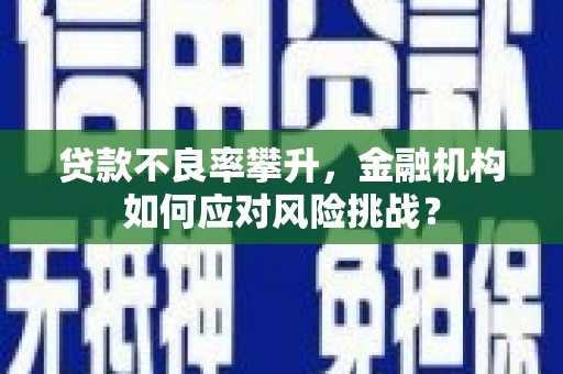 台东贷款不良率攀升，金融机构如何应对风险挑战？