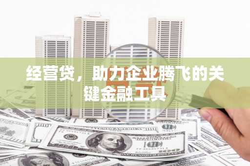 柳南经营贷，助力企业腾飞的关键金融工具