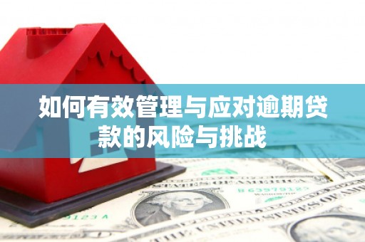 荷塘如何有效管理与应对逾期贷款的风险与挑战