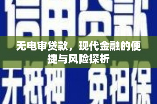 勉县无电审贷款，现代金融的便捷与风险探析
