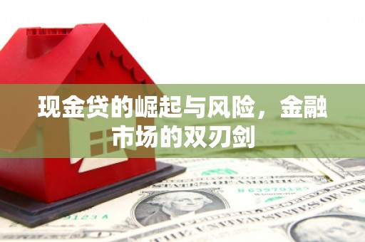 浦江现金贷的崛起与风险，金融市场的双刃剑