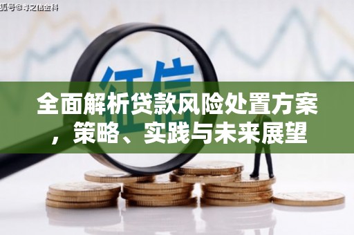 湖北全面解析贷款风险处置方案，策略、实践与未来展望
