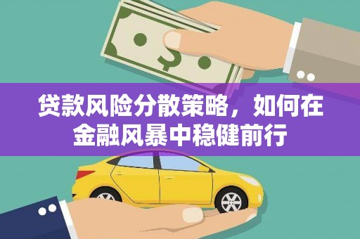 临安贷款风险分散策略，如何在金融风暴中稳健前行