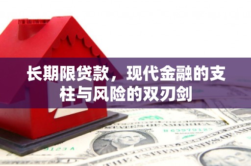 平舆长期限贷款，现代金融的支柱与风险的双刃剑