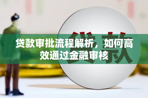 金安贷款审批流程解析，如何高效通过金融审核