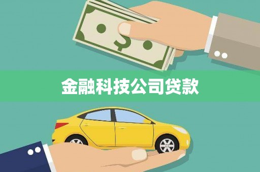 乐东金融科技公司贷款