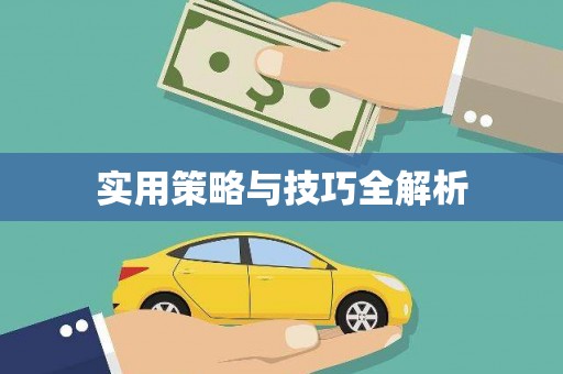 钟山实用策略与技巧全解析