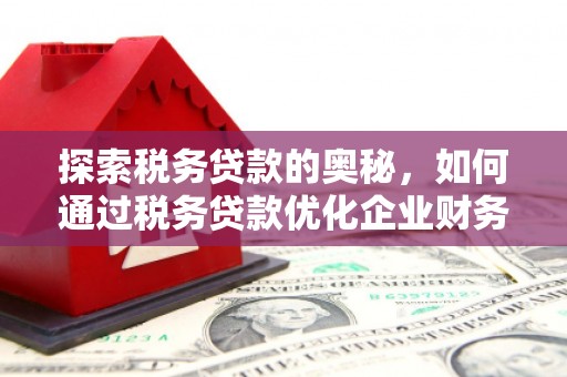 小金探索税务贷款的奥秘，如何通过税务贷款优化企业财务