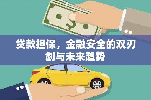 民雄贷款担保，金融安全的双刃剑与未来趋势