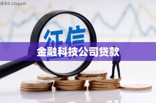 盐源金融科技公司贷款