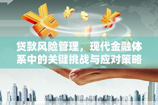 福州贷款风险管理，现代金融体系中的关键挑战与应对策略