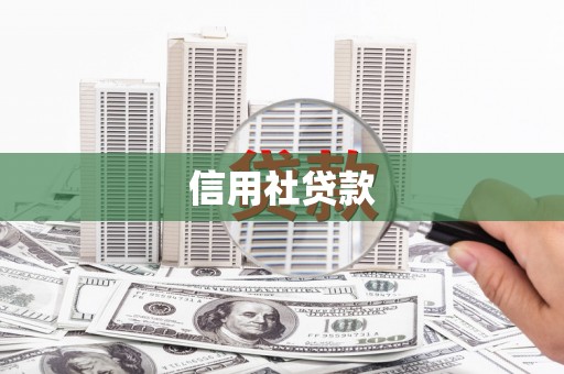思茅信用社贷款