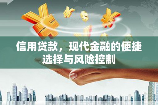 修文信用贷款，现代金融的便捷选择与风险控制