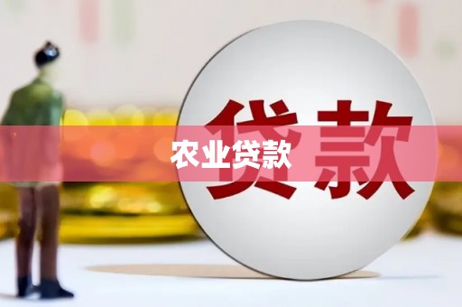 德令哈农业贷款