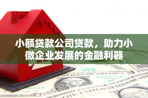 赫山小额贷款公司贷款，助力小微企业发展的金融利器