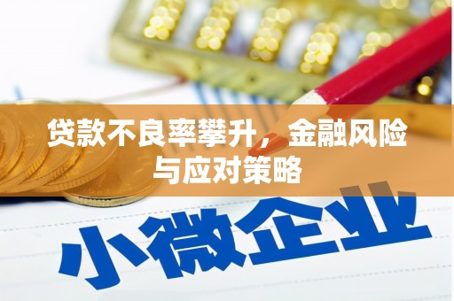 长岛贷款不良率攀升，金融风险与应对策略