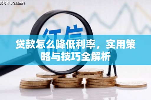 富源贷款怎么降低利率，实用策略与技巧全解析