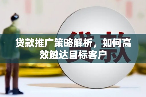 西畴贷款推广策略解析，如何高效触达目标客户