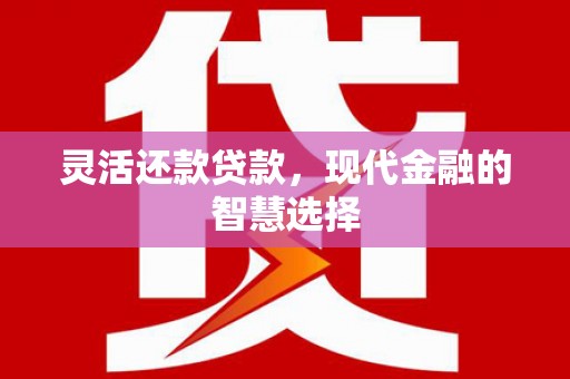 林州灵活还款贷款，现代金融的智慧选择