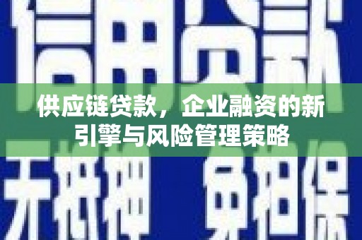 宁洱供应链贷款，企业融资的新引擎与风险管理策略