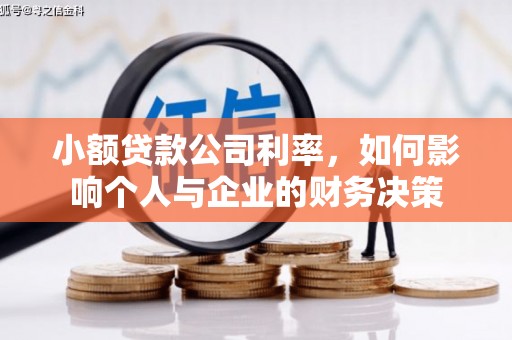 万峦小额贷款公司利率，如何影响个人与企业的财务决策