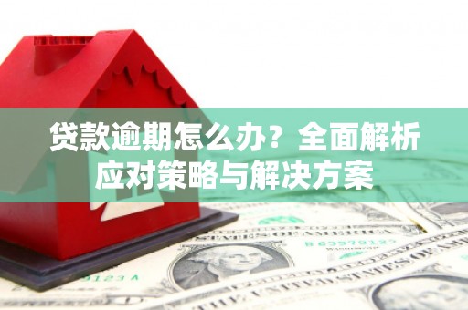 仑背贷款逾期怎么办？全面解析应对策略与解决方案