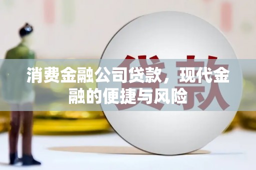 尼玛消费金融公司贷款，现代金融的便捷与风险