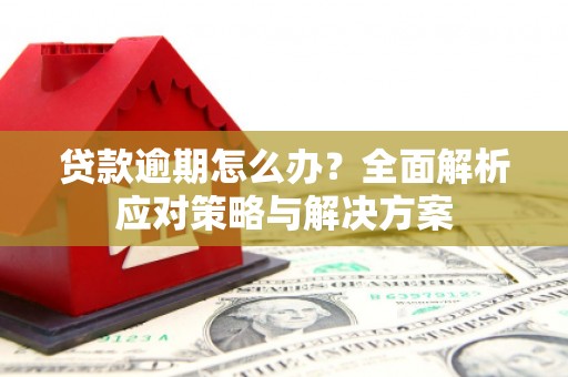界首贷款逾期怎么办？全面解析应对策略与解决方案