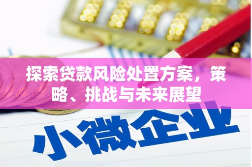 晋宁探索贷款风险处置方案，策略、挑战与未来展望