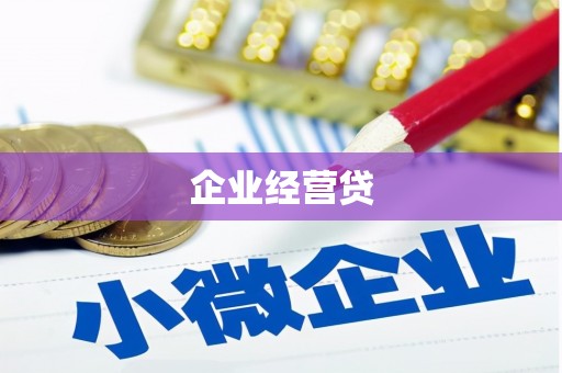 定结企业经营贷