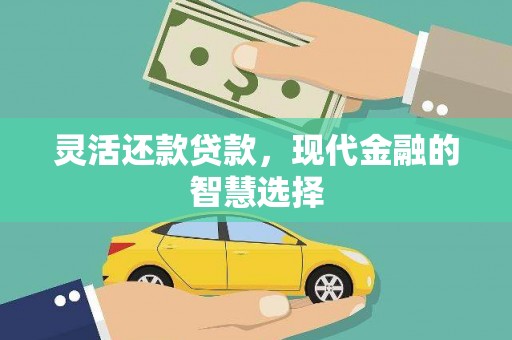 宝应灵活还款贷款，现代金融的智慧选择
