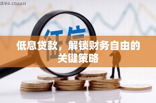 盐边低息贷款，解锁财务自由的关键策略
