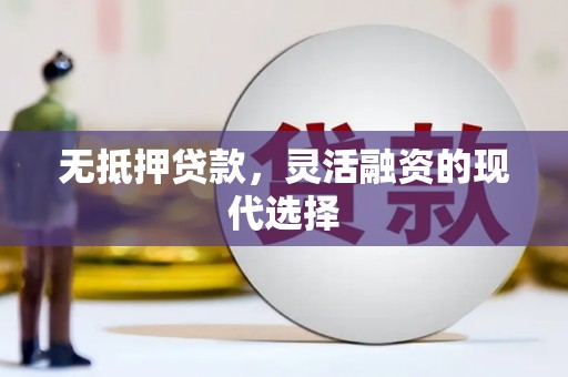 佛坪无抵押贷款，灵活融资的现代选择