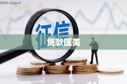友好贷款医美