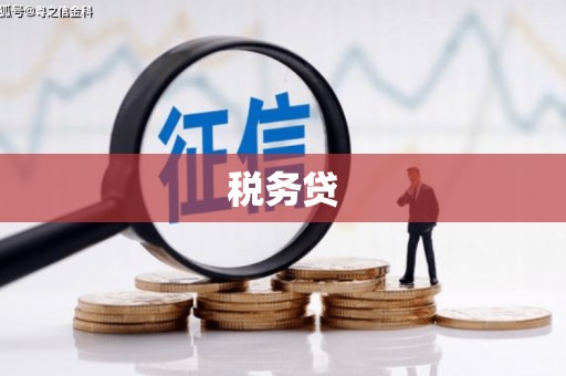 江北税务贷