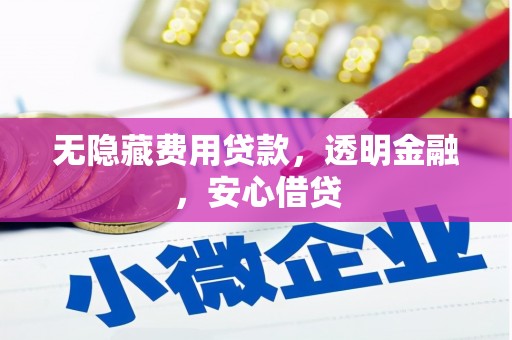刚察无隐藏费用贷款，透明金融，安心借贷