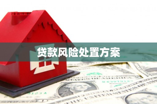 上林贷款风险处置方案