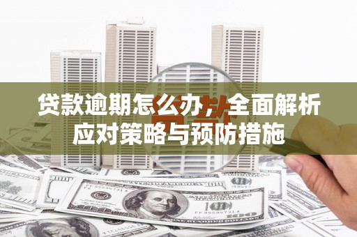 达日贷款逾期怎么办，全面解析应对策略与预防措施
